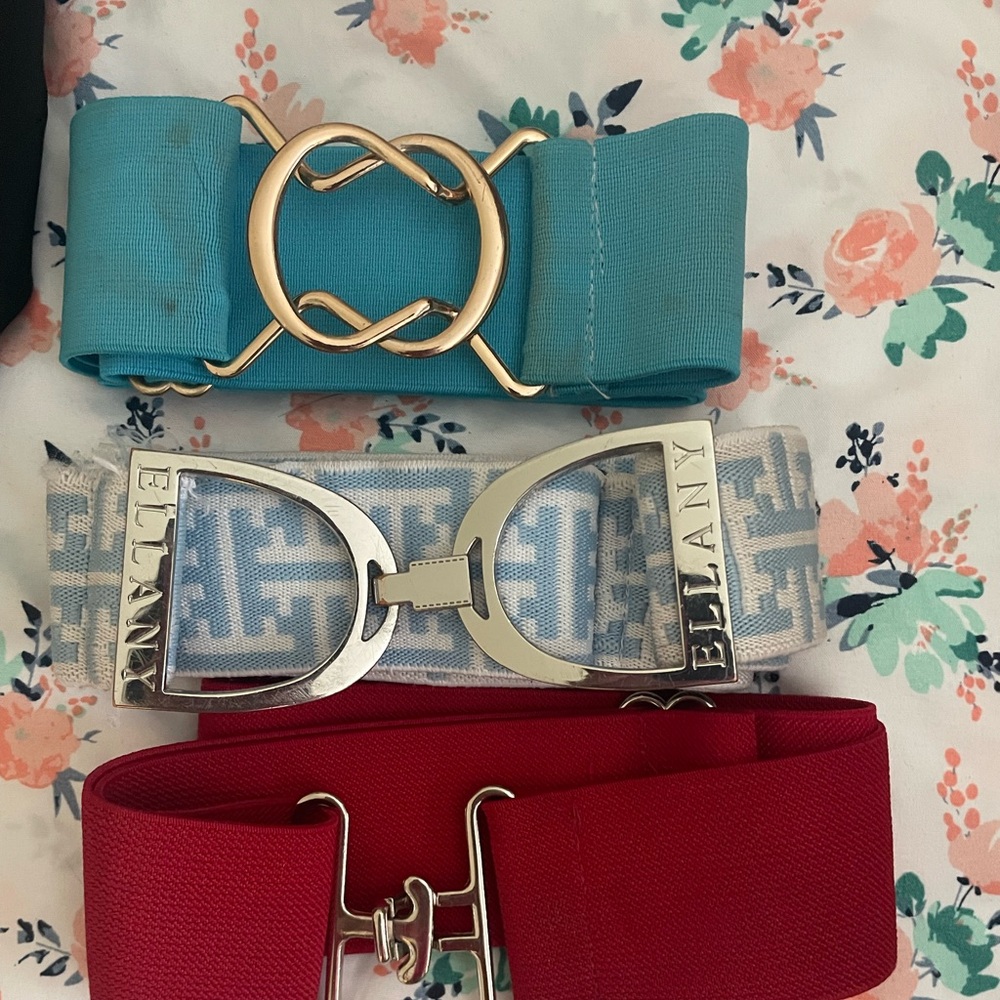 bundle of elastic riding belts (ellany)